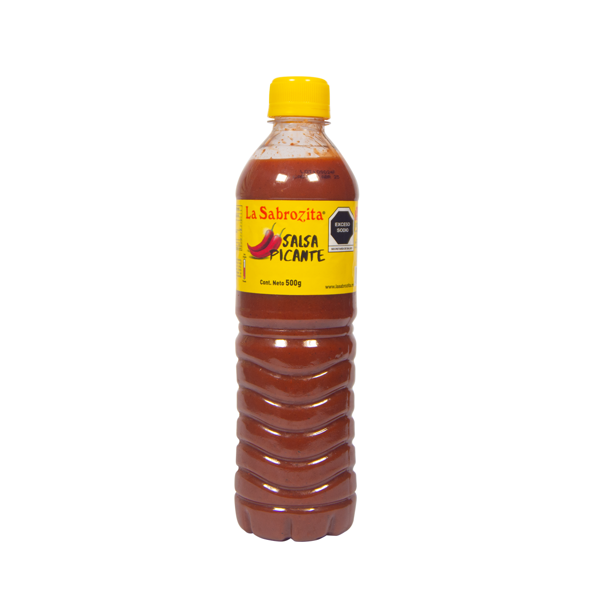 Salsa Snack