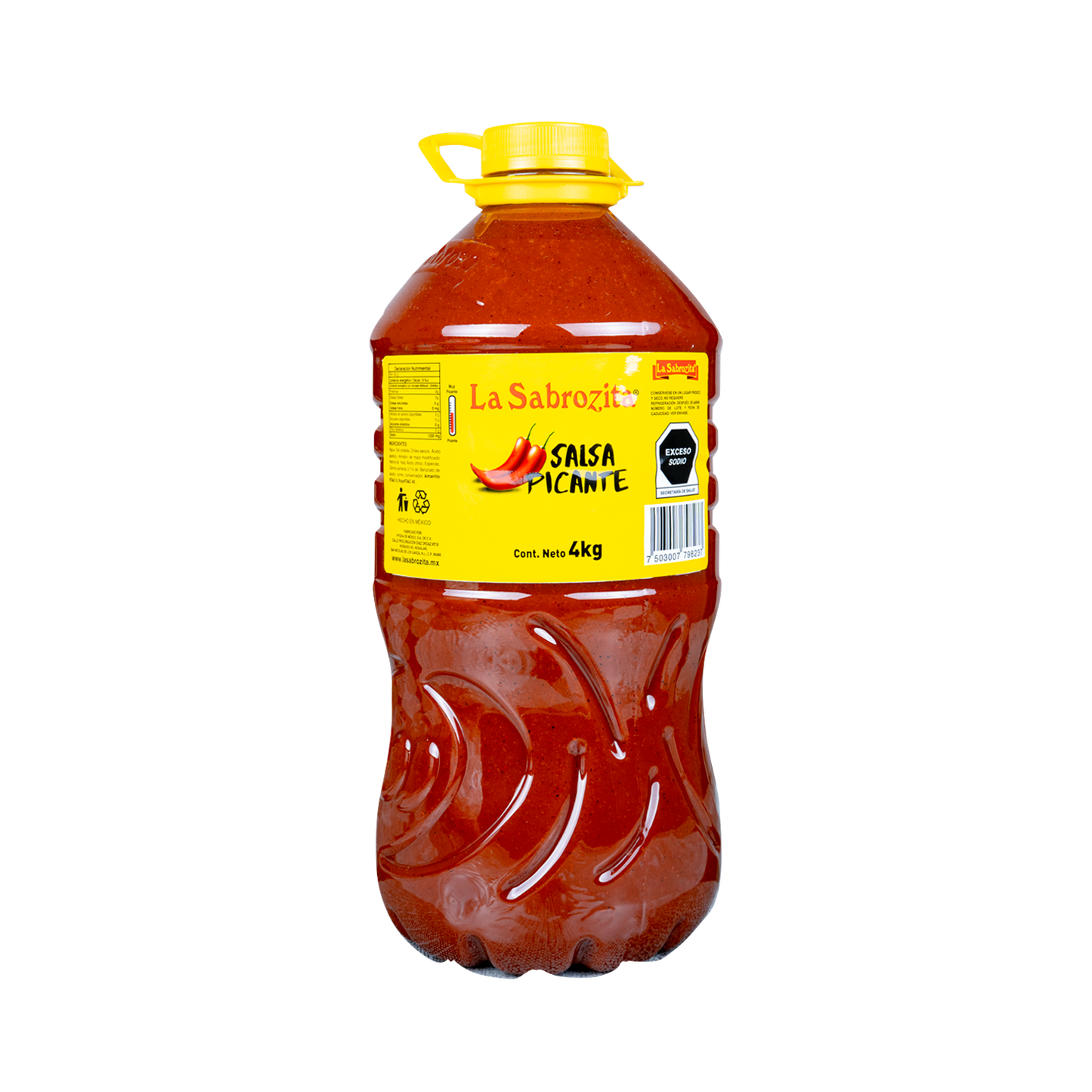 Salsa Snack
